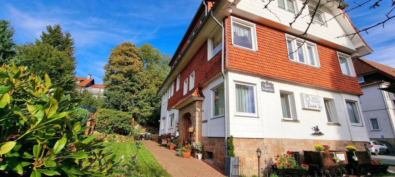 Hotel Elisabeth-Ilse Braunlage Exterior photo