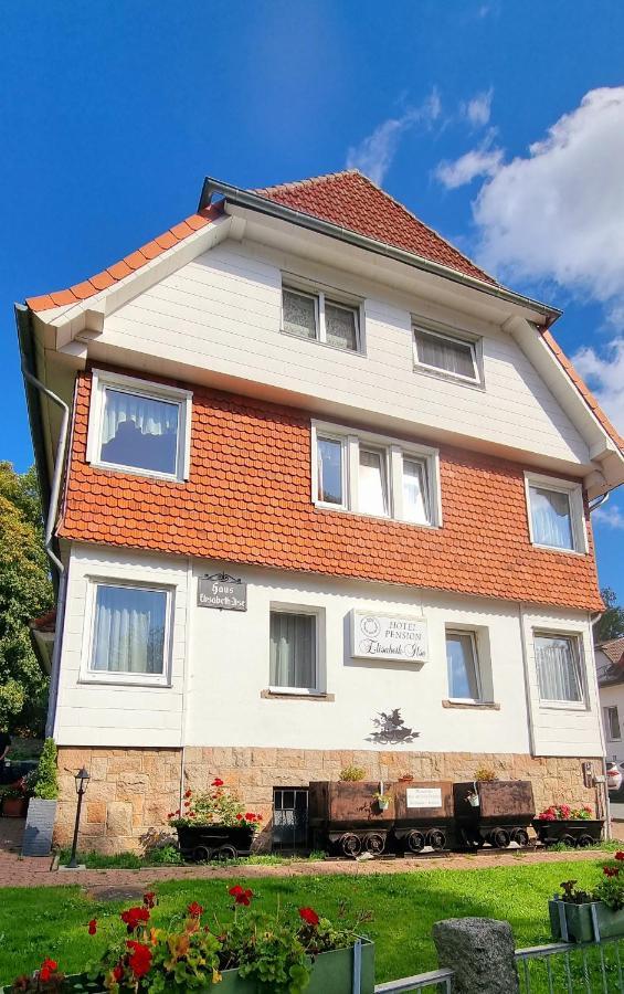 Hotel Elisabeth-Ilse Braunlage Exterior photo